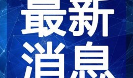 乐清明星爆料视频最新一期,揭秘娱乐圈不为人知的秘密